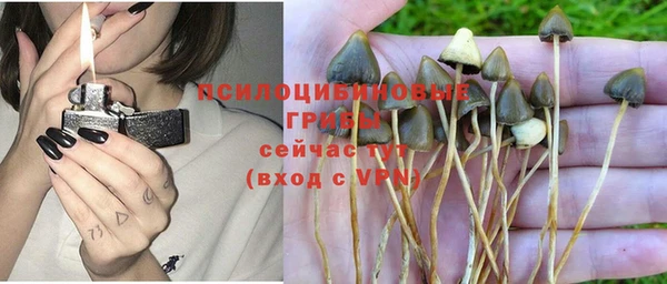 соль ск Аркадак