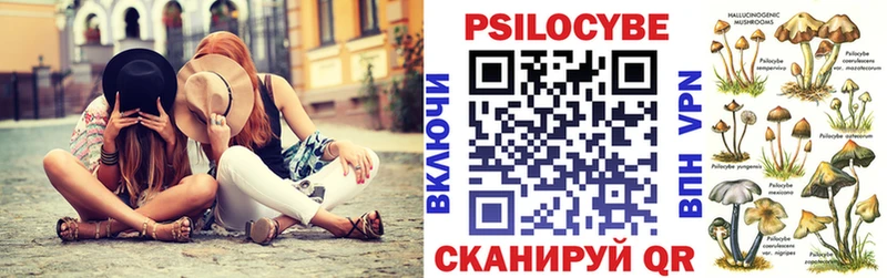 хочу наркоту  Бабушкин  Псилоцибиновые грибы прущие грибы 